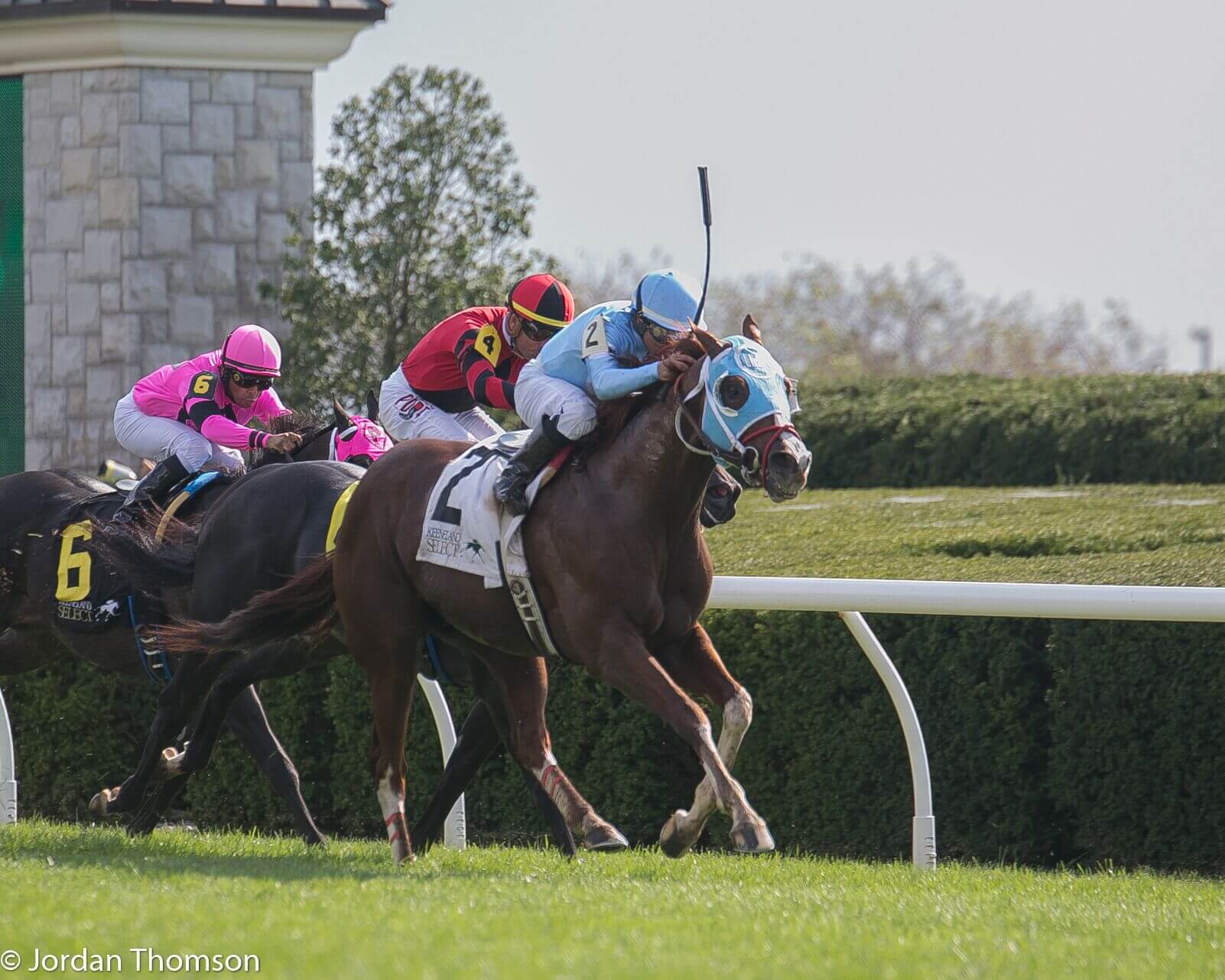Derby Prep Primer Florida Derby Race Preview and Stats
