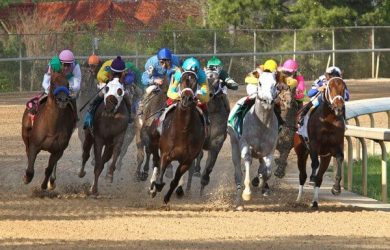 Rainbow Stakes at Oaklawn