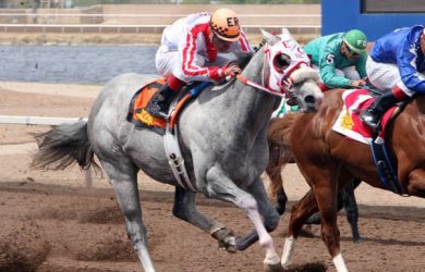 New Mexican Spring Futurity