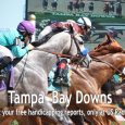 Tampa Bay Downs Horse Betting