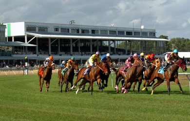 Horses round the clubhouse turn at Tampa Bay Downs (photo via www.tampabay.com)