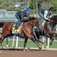 Hoppertunity and Mor Spirit stretch their legs at Santa Anita Park on Jan. 30. On Saturday, they will face each other again — in the San Antonio Stakes (photo by Jim Safford).