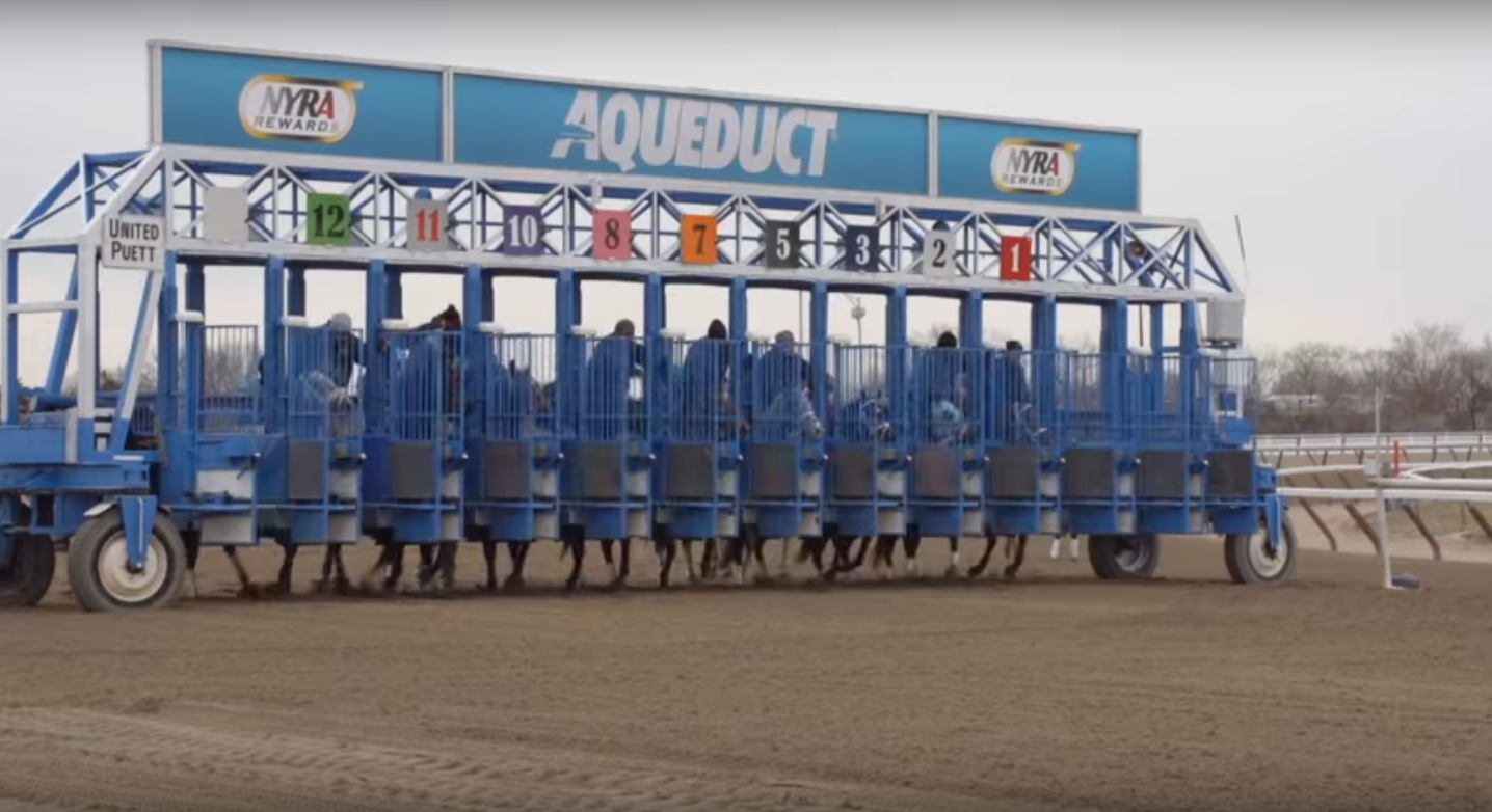 Aqueduct Fall Meet Handicapping Preview Daily Racing News Horse