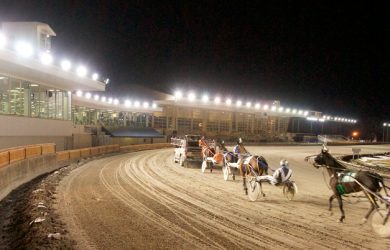 Buffalo-Raceway