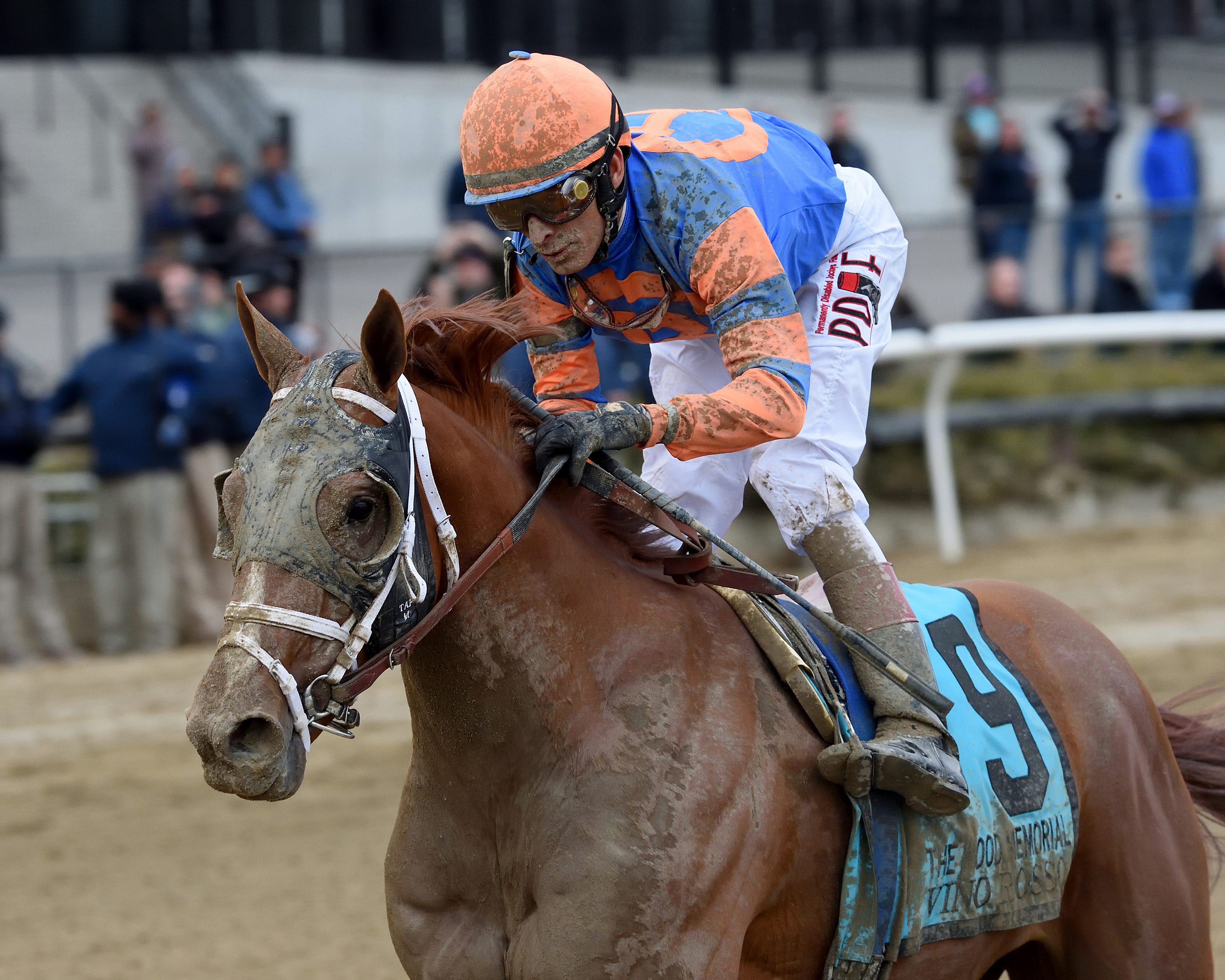 Vino Rosso Toasts Kentucky Derby Qualifying With Wood Memorial Win