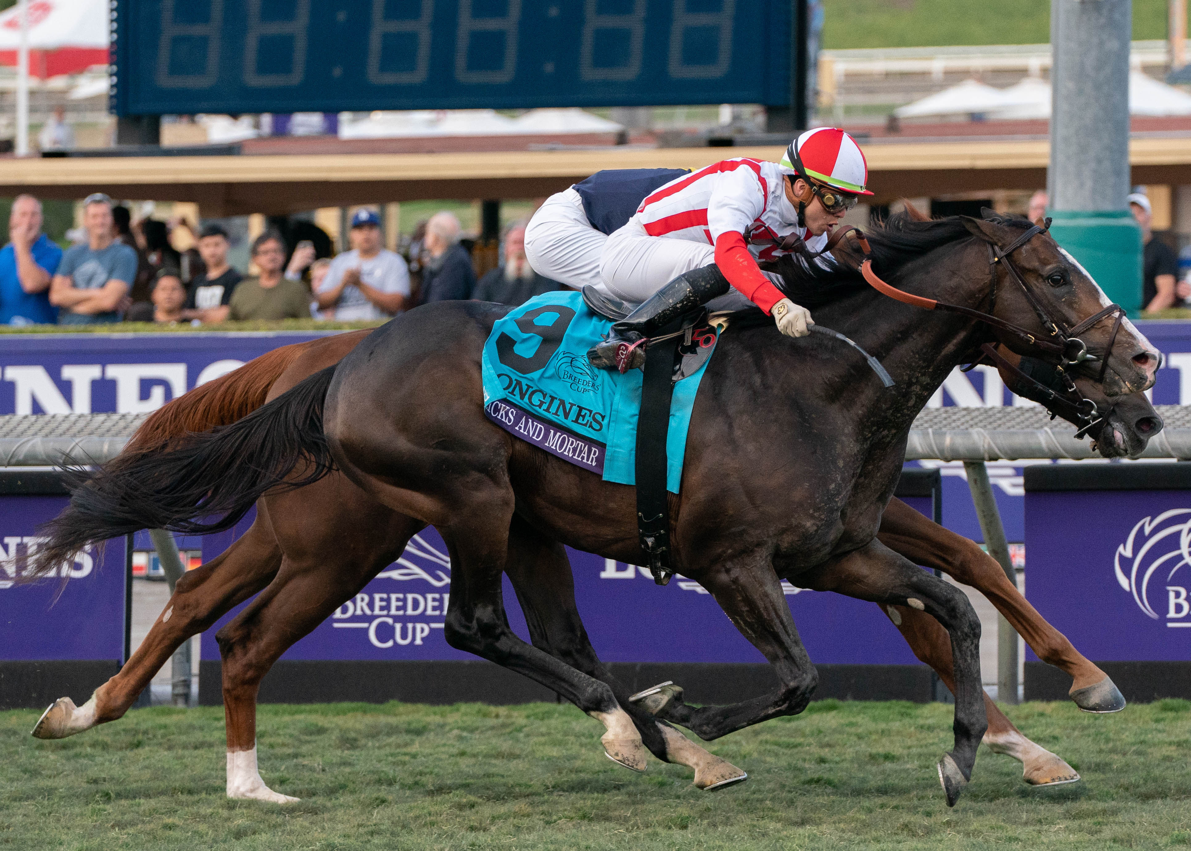 Breeders Cup Bricks And Mortar A Deserving Horse Of The Year Pick 