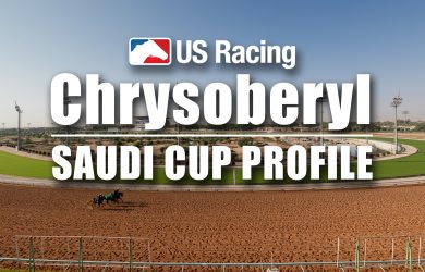Saudi Cup Betting Odds Chrysoberyl Profile