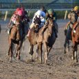 Kentucky Derby Qualifiers: Fountain of Youth Favorites