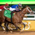 Maximum Security Best Horse: Wins Inaugural Saudi Cup