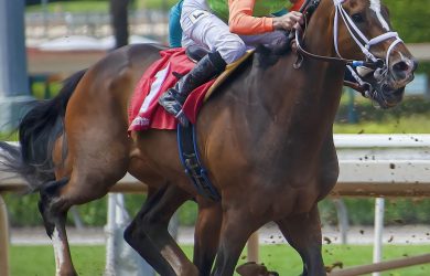 4-Way Race for Oaklawn Riding Title; Diodoro Leads Trainers, Asmussen Slumps