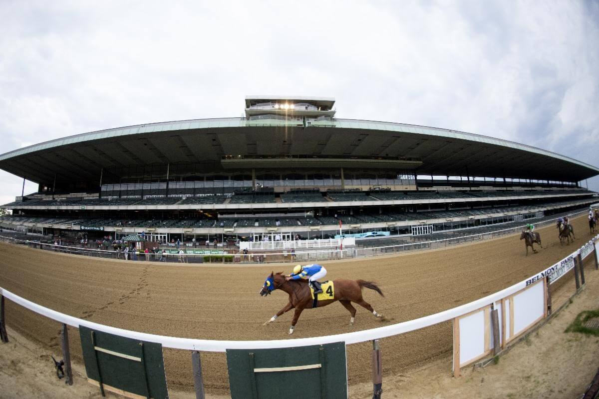 Top Experts Picks for Belmont Stakes Today Daily Racing News Horse
