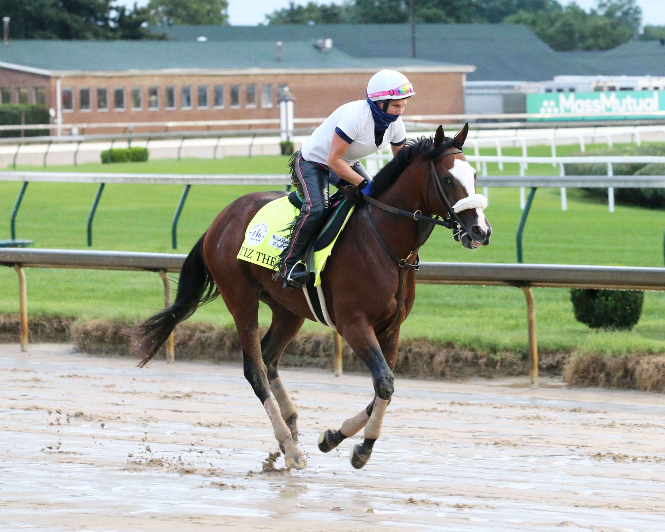 tiz-the-law-skipping-preakness-breeders-cup-classic-up-next-for