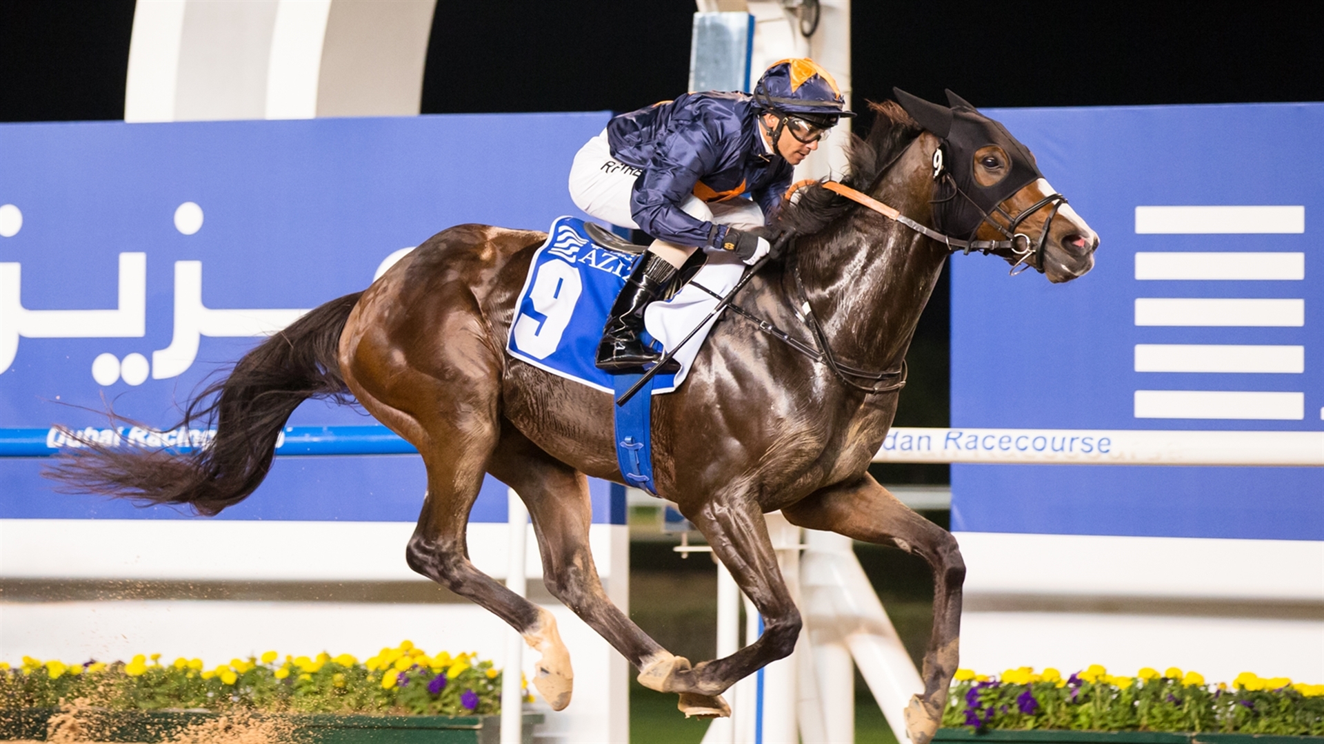 Dubai World Cup Contenders 2021 Capezzano Daily Racing News Horse